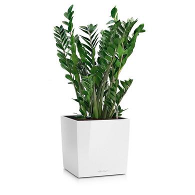 CUBE 30 white high-gloss